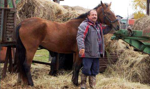 80971c59fb25b9d47799e6f350d0b9d4_big