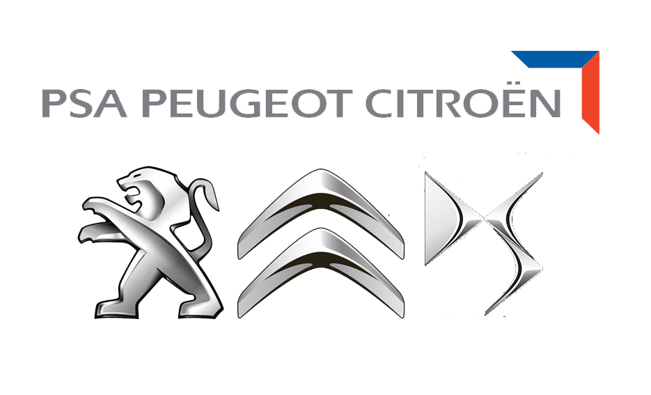 PSA-DS-logo