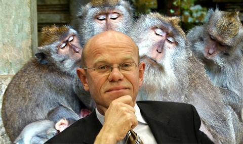 Tomas-Steg-i-majmunite