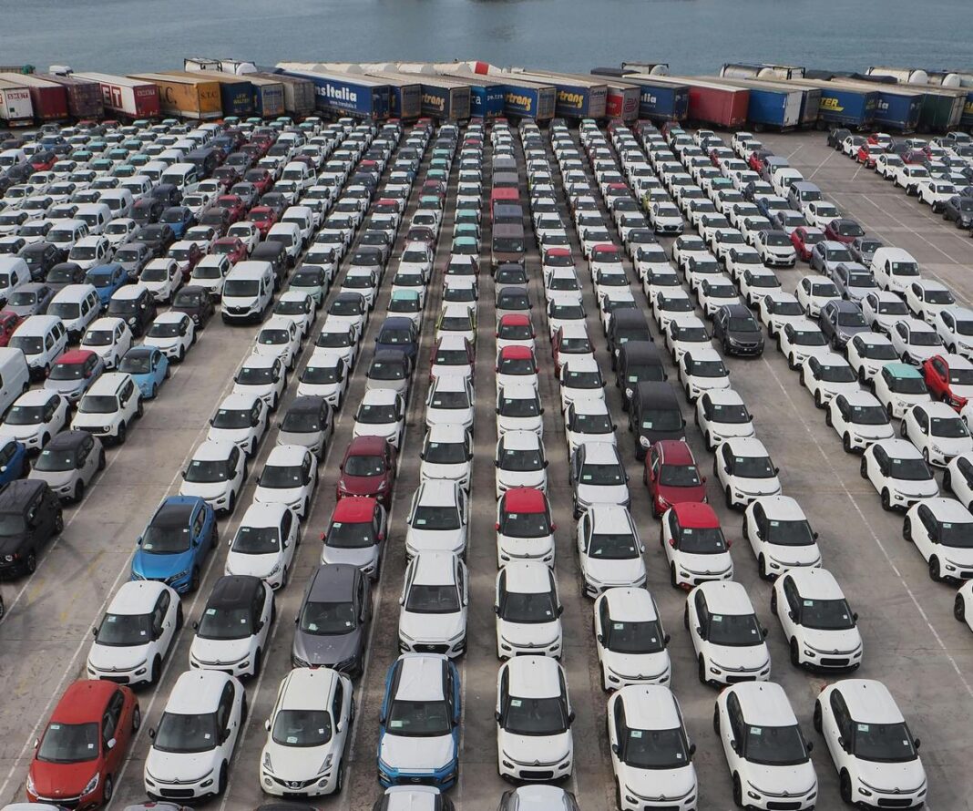 koli vo pristaniste - pexel