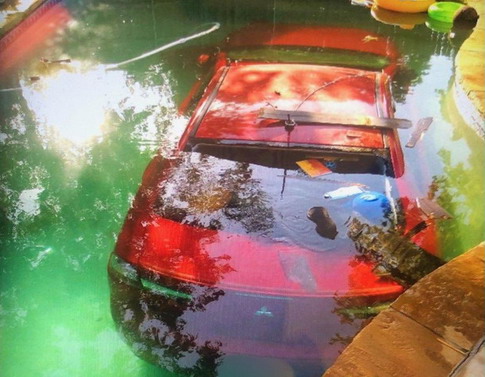 Auto u bazenu