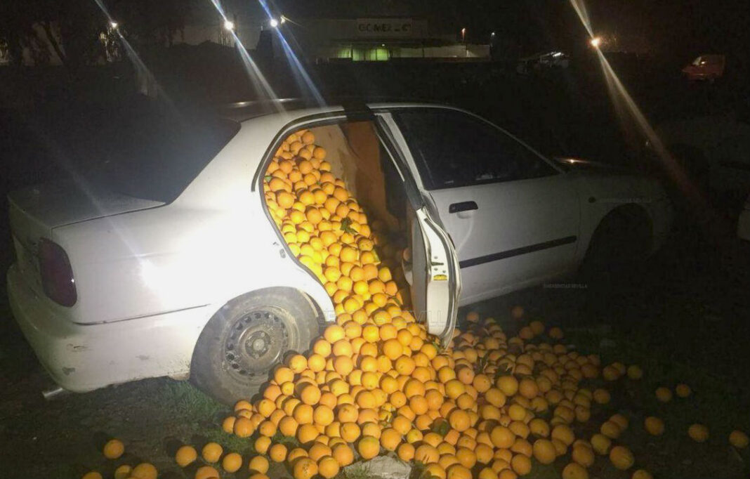 portokali-vo-kola